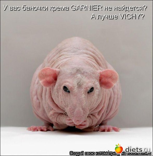 16 ����: ������