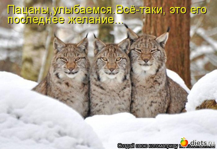 18 ����: ������