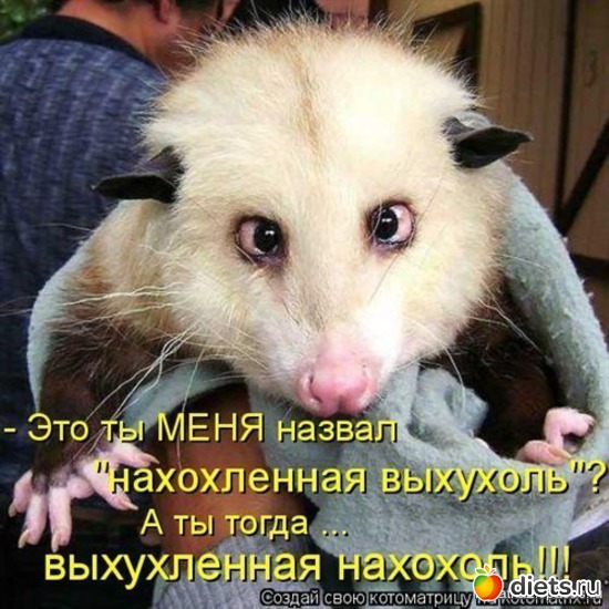 20 ����: ������