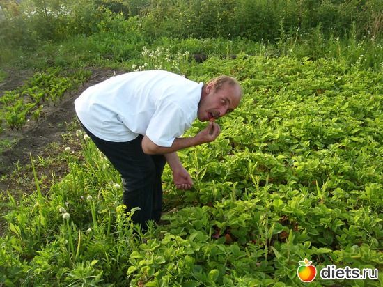 Мой муж, альбом: Мурва и её семья