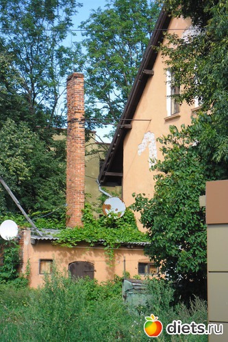 4 фото: Зеленоградск