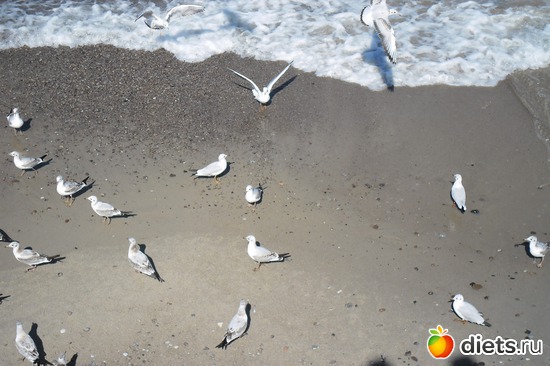 5 фото: Зеленоградск