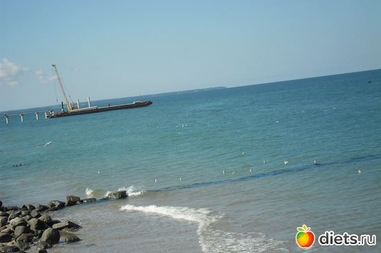 6 фото: Зеленоградск