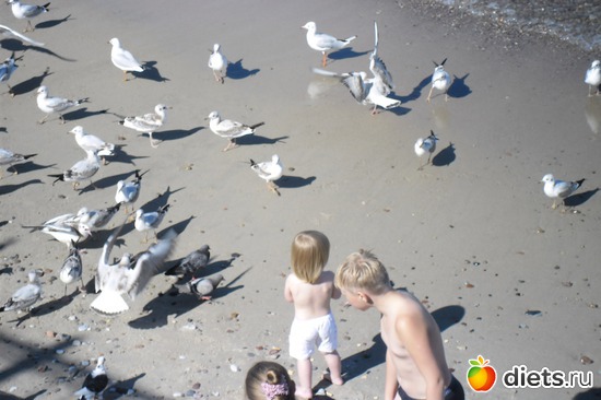 8 фото: Зеленоградск