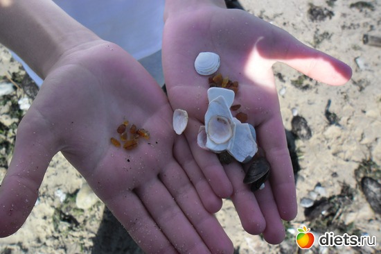 11 фото: Зеленоградск