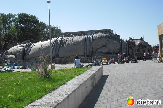 16 фото: Зеленоградск