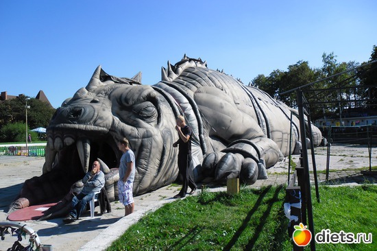 17 фото: Зеленоградск