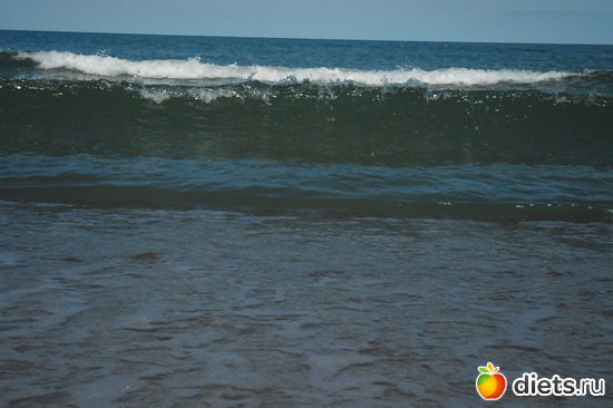 21 фото: Зеленоградск