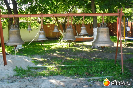 29 фото: Зеленоградск