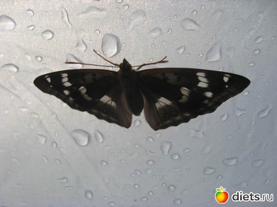 2 ����: �������� � ����������