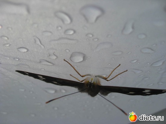 4 ����: �������� � ����������