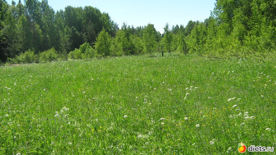 ���� � ��������� �������, ������: �����: � � ������ ���