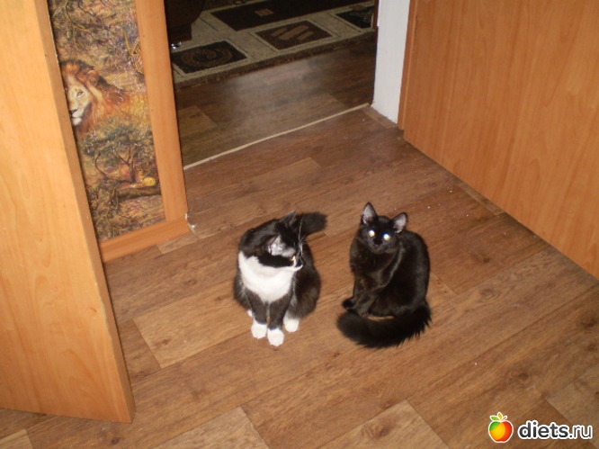 Мама и дочь., альбом: Маруся.Продолжение.