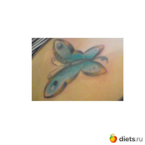 ������, ������ �������� ����, ������: ������ ���