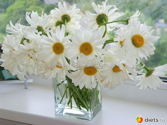 1 ����: ���������� �����