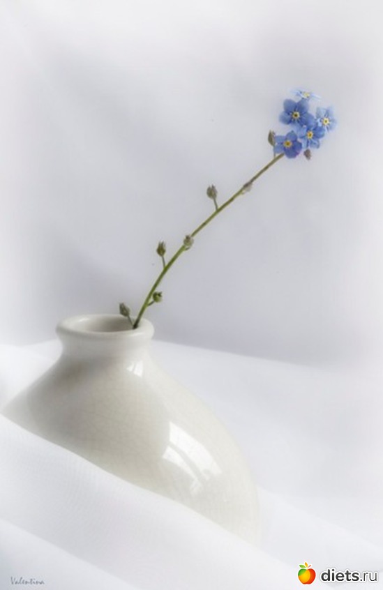 3 ����: ���������� �����