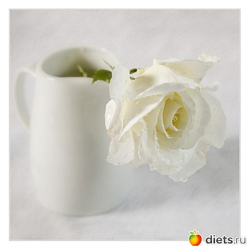 5 ����: ���������� �����