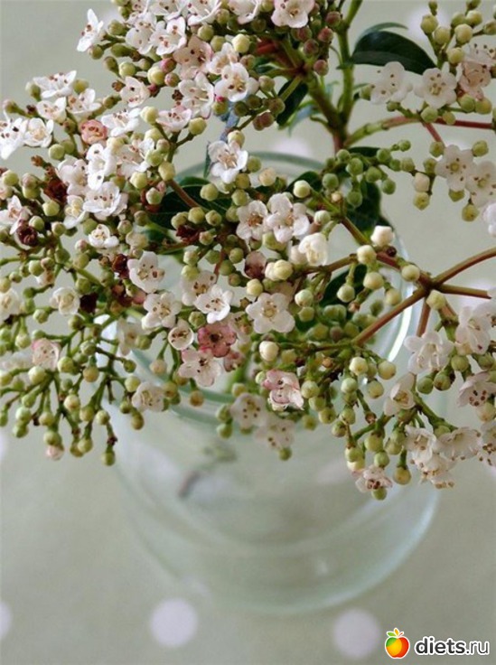 9 ����: ���������� �����