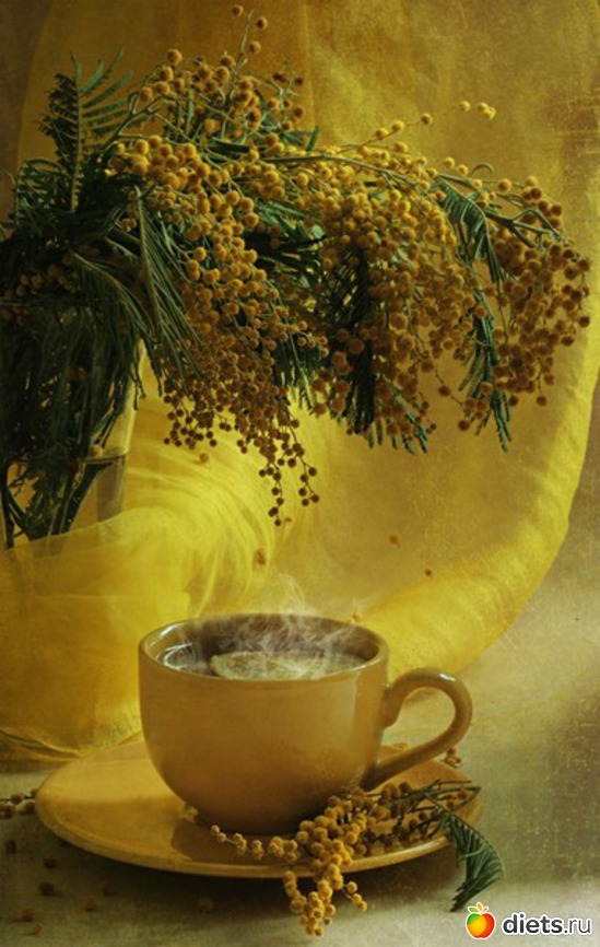 14 ����: ���������� �����