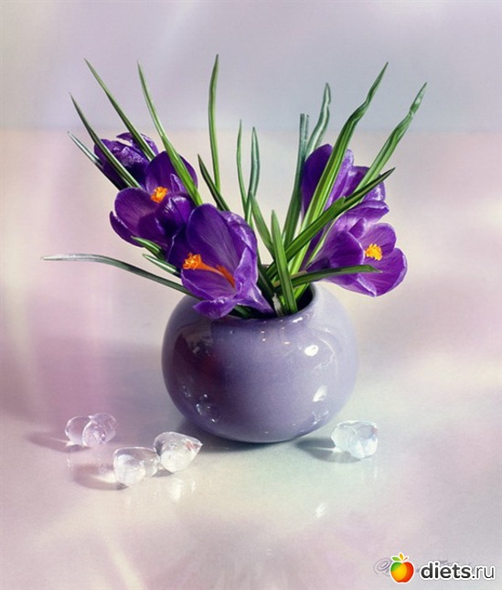 ���������, ������: ������� �����