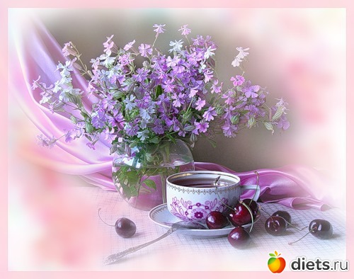 �������� ���