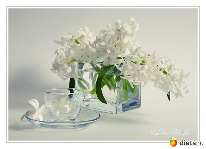 �������� ����, ������: ������� �����