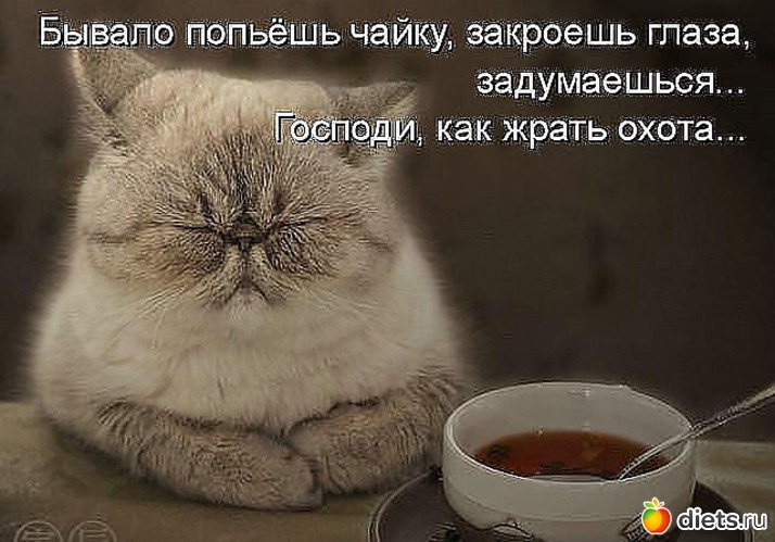 11 фото: мотивация