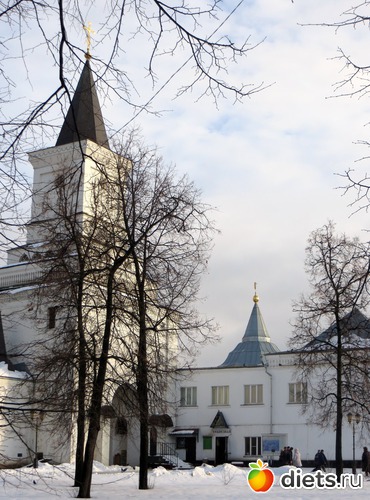 Вход в Монастырь вид с территории, альбом: Николо-Угрешский мужской Монастырь