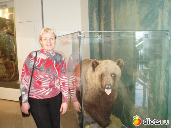 4 ����: ������ ���������