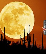 ������� ��������