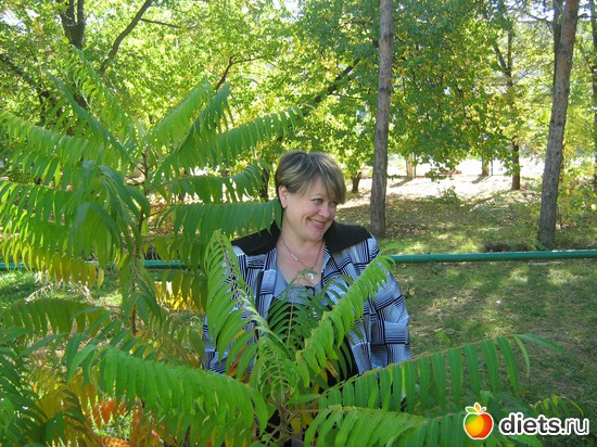 1 ����: ��� �����