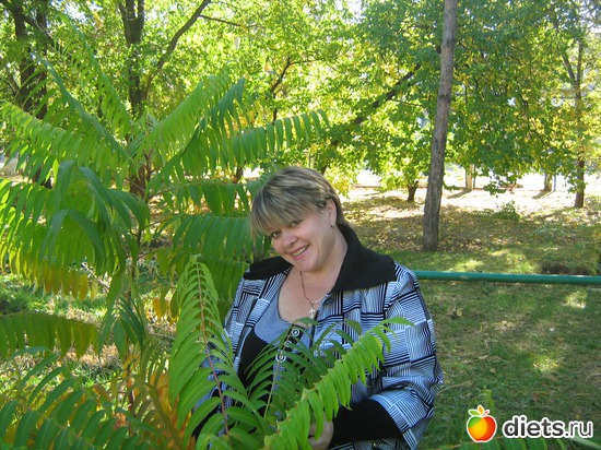 2 ����: ��� �����