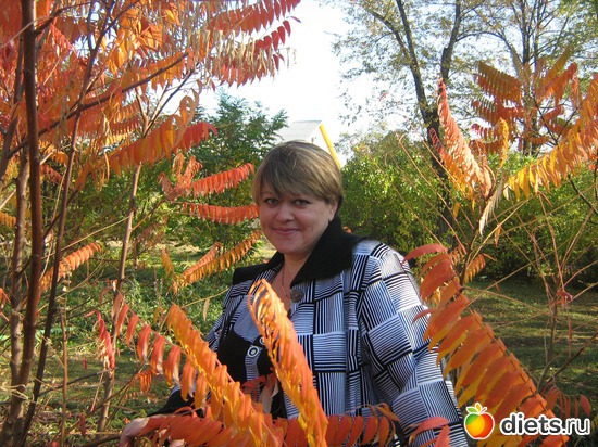 5 ����: ��� �����