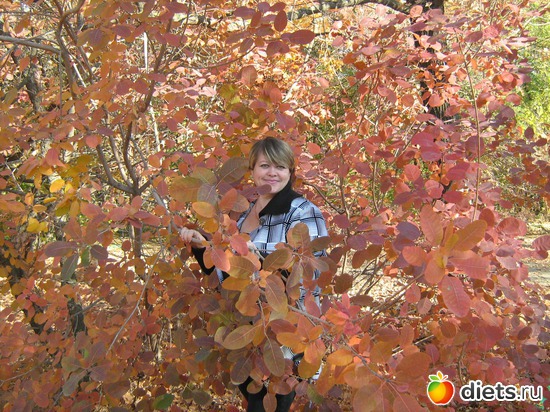 6 ����: ��� �����