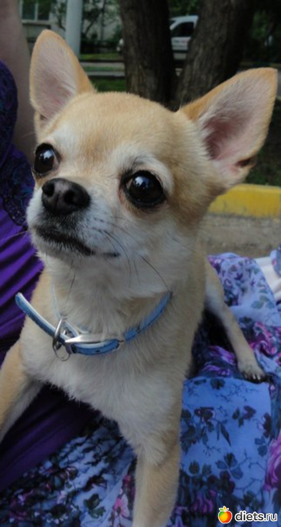 6 ����: ��������