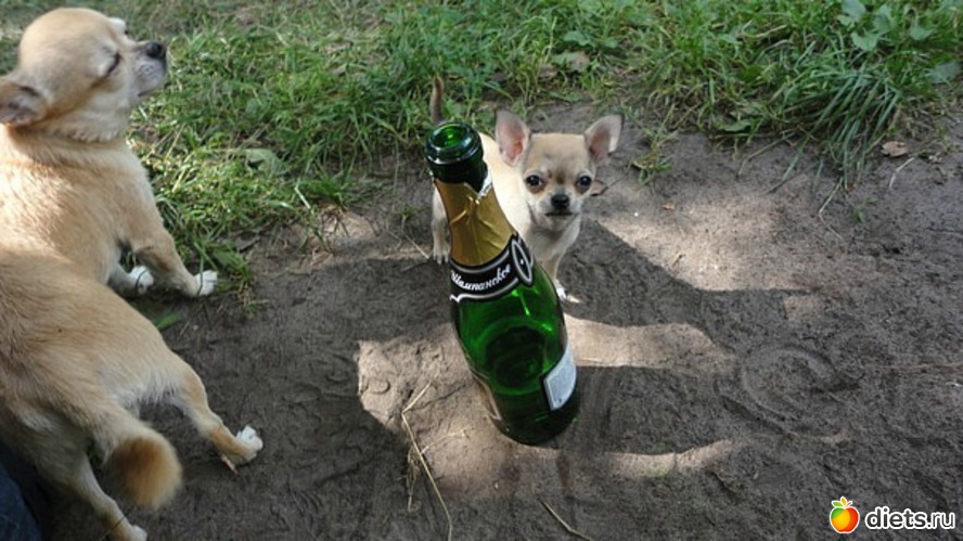 10 ����: ��������