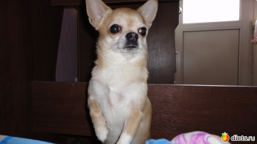 11 ����: ��������