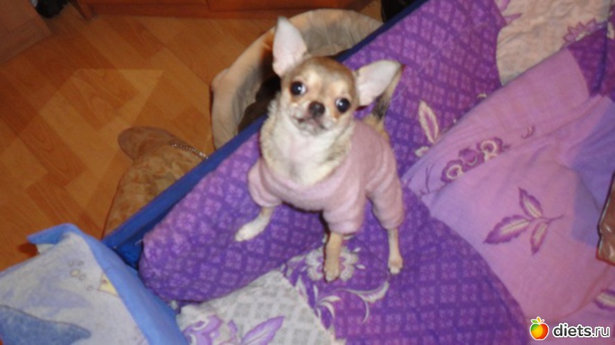 12 ����: ��������