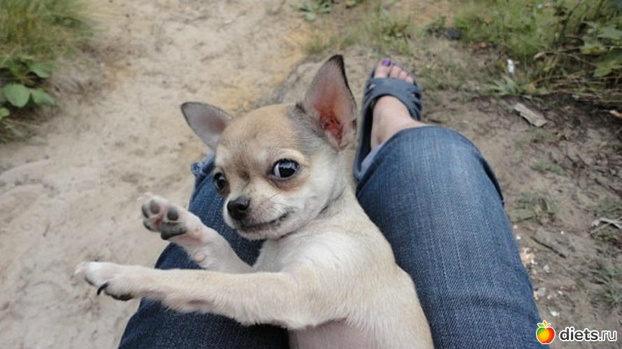 13 ����: ��������