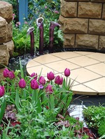 Идеи для цветников. Тюльпаны.