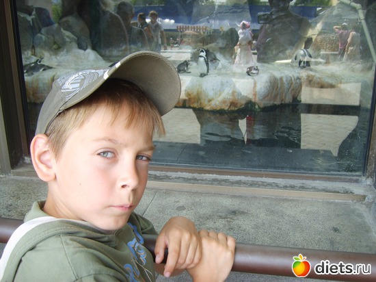 1 ����: � � ��� �����