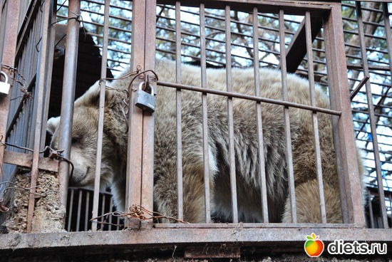 �����!, ������: ������� � �������!