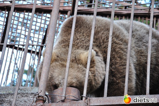 ���������� ���������!!!, ������: ������� � �������!