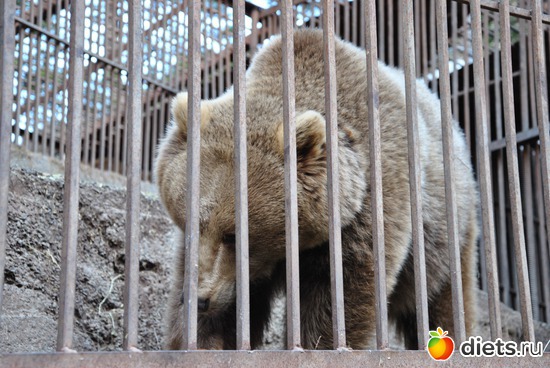 3 ����: ������� � �������!