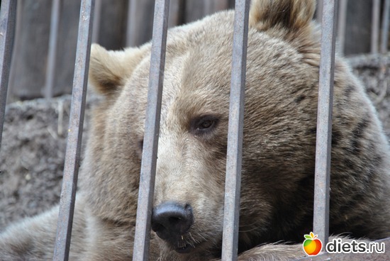 11 ����: ������� � �������!