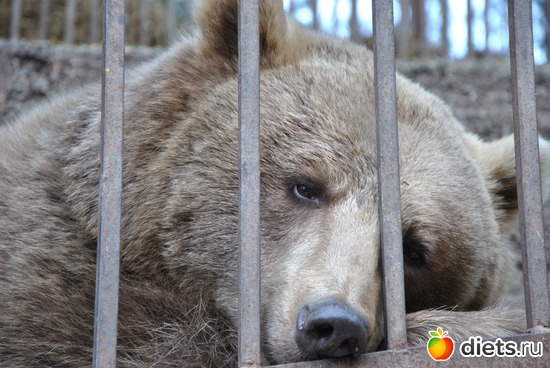 12 ����: ������� � �������!