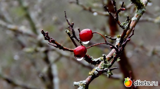 2 ����: ��� ��� !..