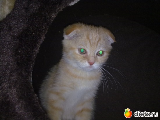 2 ����: ��� �����