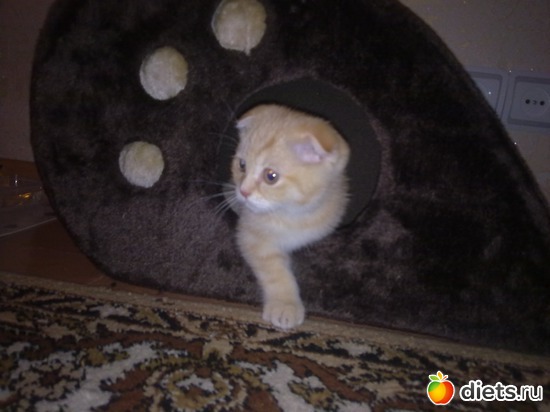 3 ����: ��� �����