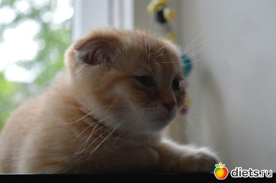 5 ����: ��� �����